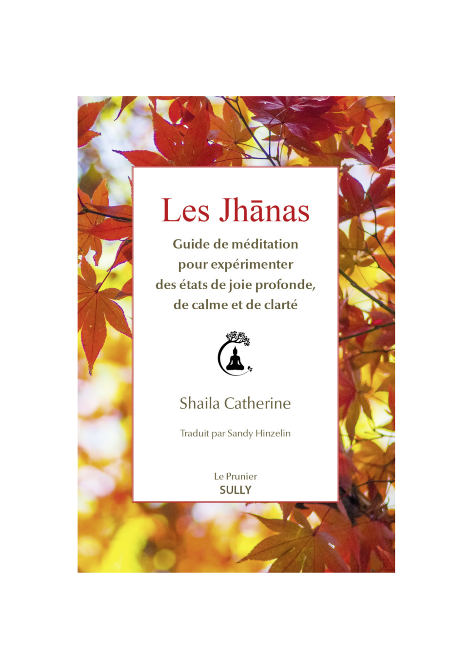 Jhanas, guide de méditation